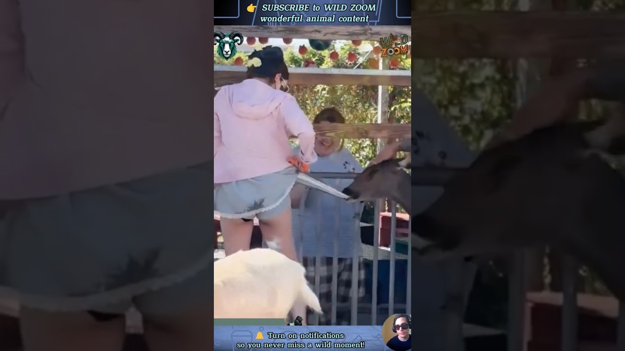 19 UNSEEN Animal Clips You MUST See! ⚡ WILD ZOOM  