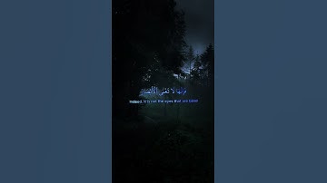 Surah Al Hajj 46 47 سورة الحج ٤٦ ٤٧