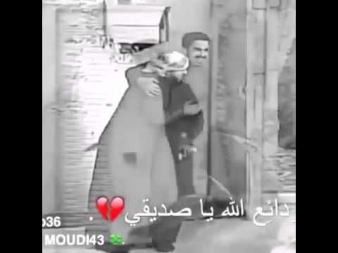 الحار فوركس الرماد الشرقية