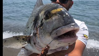 pesca SURFCASTING, zona de piedra, GRAN JORNADA, SEGUIMOS en RACHA, SURFCASTING GRANADA