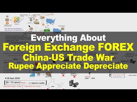 Learn Foreign Exchange Reserves | US-China Trade War | Rupees Appreciate Depreciate