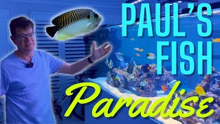 Paul's 4000 Litre Fish Paradise