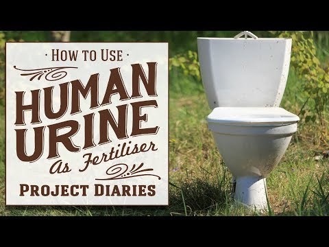 ★ How to: Use Human Urine as Fertiliser (A Complete Step by Step Guide)