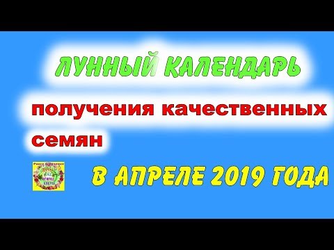 Лунный календарь для получения качественных семян в апреле 2019 года