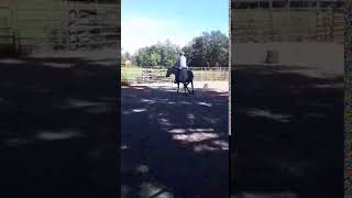Rodeo Pony Video 3