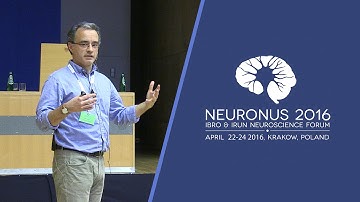 Response heterogeneity and temporal encoding in the rodent whisker system, Miguel Maravall