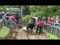 TITULA PEROLAKE U SLATINI  KOD ĐUKICA-BABIĆA PRIPALA JANJIĆU I BOŠNJAKU -