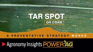 Tar Spot on Corn
