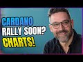 Cardano rally coming  data charts and more