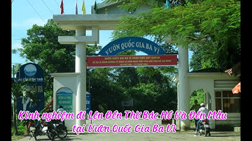 Kinh nghiệm đi lên đền thờ bác Hồ và Mẫu tại vườn Quốc Gia Ba vì