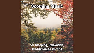 Serene Music screenshot 5