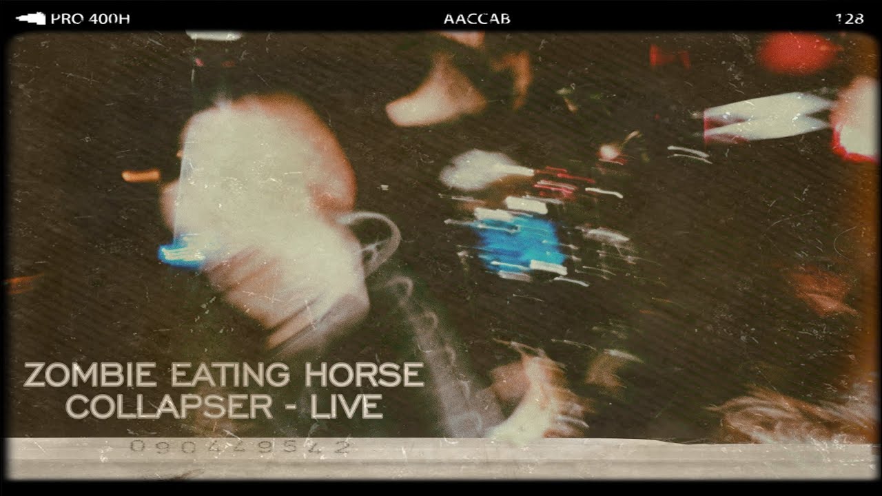 Zombie Eating Horse Collapser Live from DOB Studios YouTube
