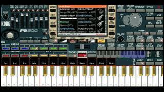 Sabdo Tuwan ~ karaoke|| cover org