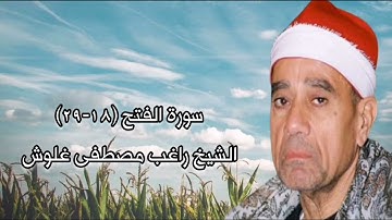 سورة الفتح (١٨-٢٩) - الشيخ راغب مصطفى غلوش رحمه الله