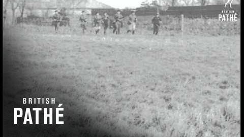 Bloodhounds To Find Fugitives (1921)