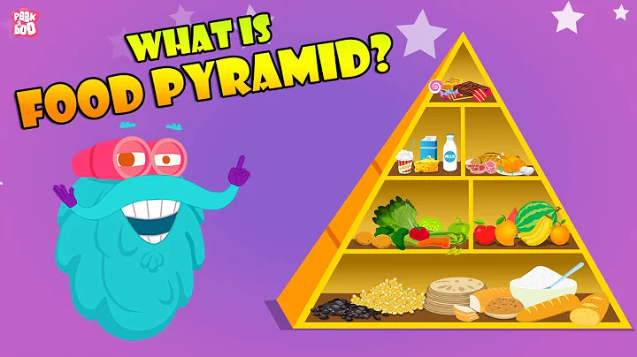 FOOD PYRAMID | How Different Foods Affect Your Body | The Dr Binocs Show | Peekaboo Kidz - DayDayNews