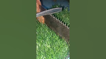 I Used This Unexpected Tool to Sharpen My Dull Saw – Shocking Results!