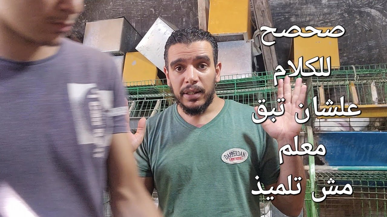 كدبة علف ومياه فقط.وعلاج التهاب العرقوب.اسمع الكلام علشان الحوارات كترت