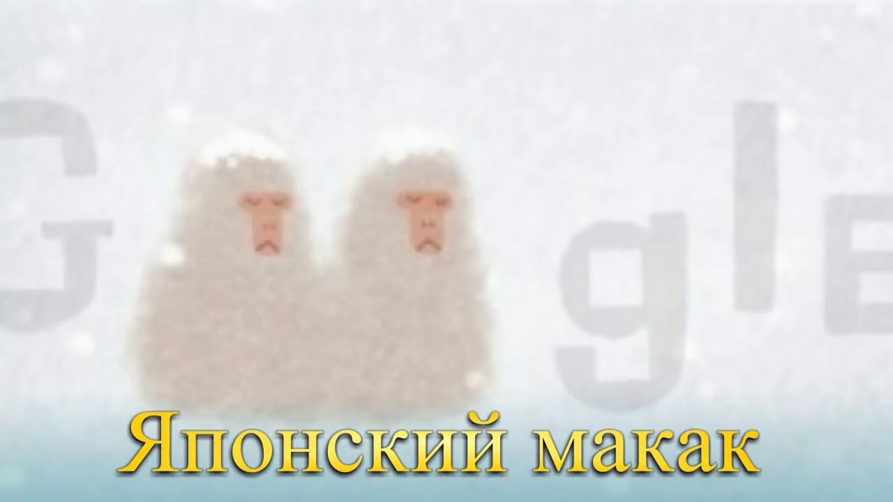 Японский макак Macaca fuscata Google Doodle День земли