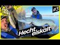 HECHT Eiskalt | Vorsicht LEBENSGEFAHR !! | Das perfekte DEAD BAIT Vorfach zum HECHTANGELN Folge 3