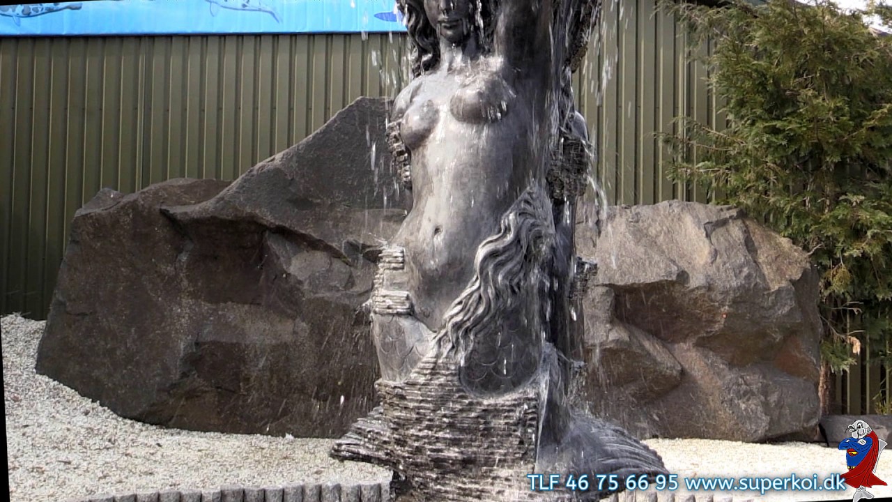 Kort fortalt om Superkoi i Roskilde