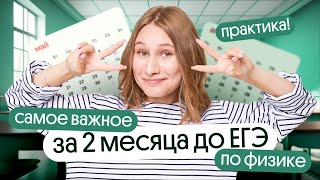 КАК отработать ВСЕ ТЕМЫ из ЕГЭ по физике за 2 месяца?