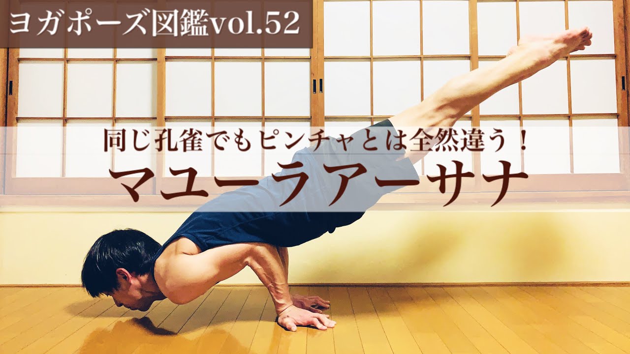 【ヨガポーズ図鑑vol.52：マユーラアーサナ】シンプルだけどキツい！難関アーサナのコツ