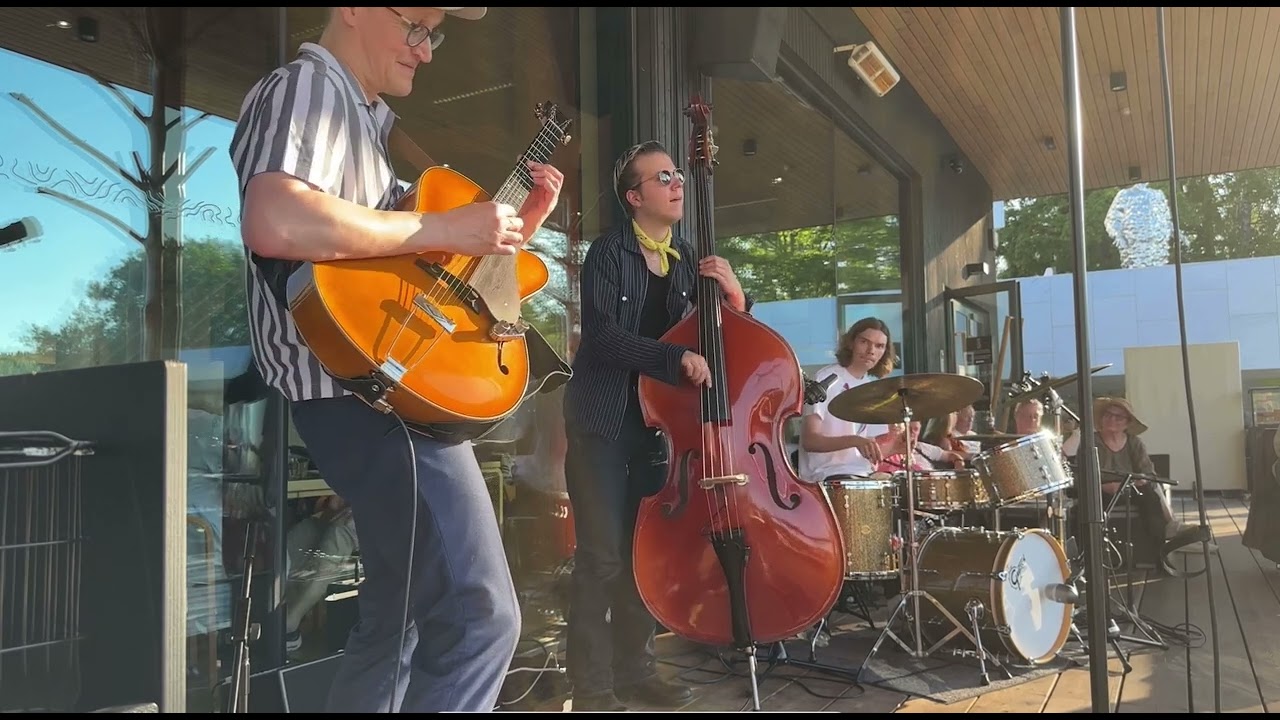 Bye Bye Blackbird - Teemu Viinikainen