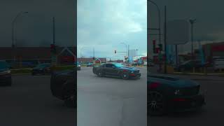 Collecting car guys 32/100 #carguy #automobile #vroomvroom #cartok #revving #carspotting #fypシ