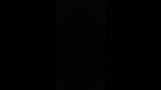 To Princess Scarlet Angel Chan