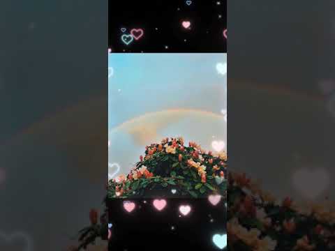POCHI - SELALU ADA (ost FTV SCTV)