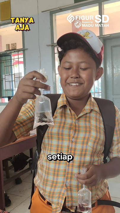 Ikan Cupang hanya 2000 #tanyajawab #jawabcepat #kuis #sekolahpenggerak