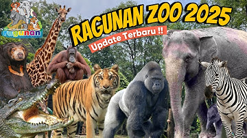 EXPLORE RAGUNAN ZOO TERBARU 2025 | Kebun Binatang Ragunan