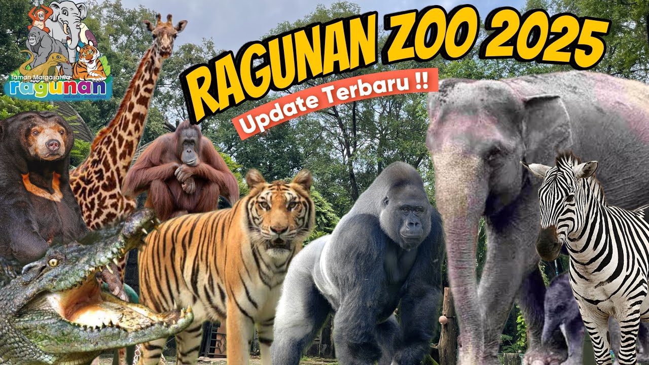 EXPLORE RAGUNAN ZOO TERBARU 2025 | Kebun Binatang Ragunan