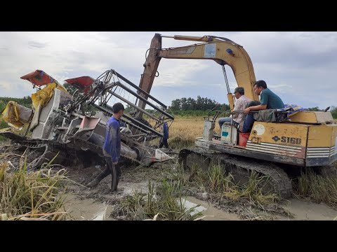 Video Máy Cắt Lúa Đang Cắt Bị Lún Xìn Phải Nhờ Xe Cuốc Đất... - youtube