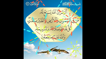 سورة النور الآية ( 41 )