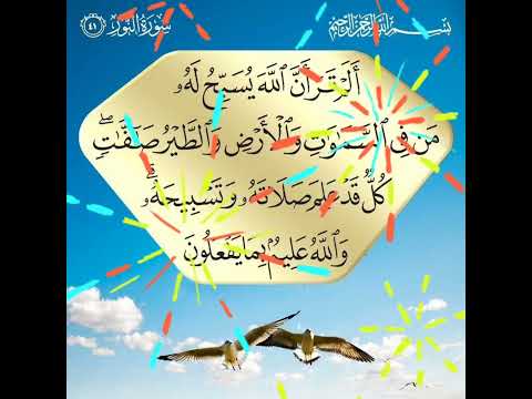 سورة النور الآية 41