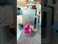 Dragon Fruit Shake with my friend🐲 | Laos Food | Laos🇱🇦 | Luang Prabang #shorts