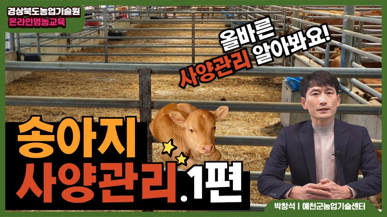송아지 사양 및 축산 미생물 관리 - 송아지 사양관리 1편