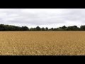 Radiohead Vignette (Daydreaming alt. strings) HD