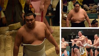 Terunofuji, Kirishima, Kotonowaka training reports (Sumo News, Mar 3rd)