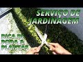 Serviço de jardinagem - dica de poda e plantas parte #4