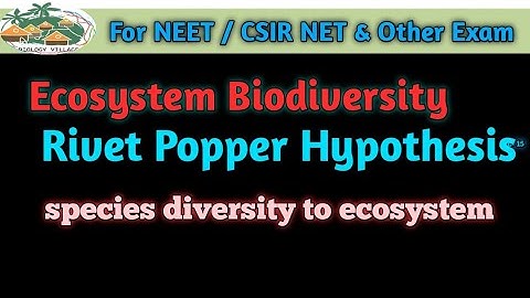 The Rivet Popper Hypothesis: Species diversity for ecosystem stability.