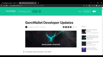 GeroWallet $GERO Developer Announcement 1.23.22