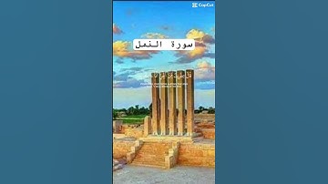 #سورة_النمل #ياسر_الدوسري #quran #قرآن #تلاوة_خاشعة #اكسبلور