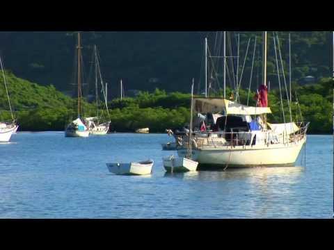 Conselho de profissional Negociação Binárias Belém