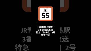 JR青梅線拝島駅3番線到着放送＋停車中放送「特急「おうめ2号」東京行き」