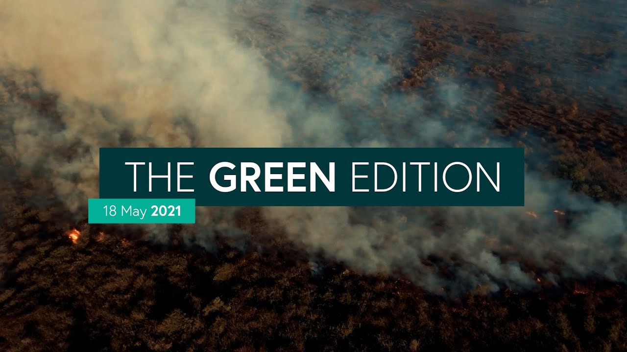 The 150 Show: The Green Edition