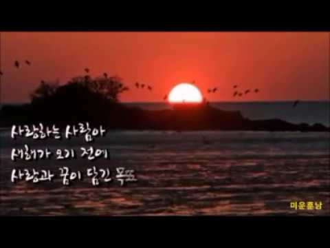 사랑,한 해를 마무리하며 - 박만엽