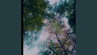 tree of 303